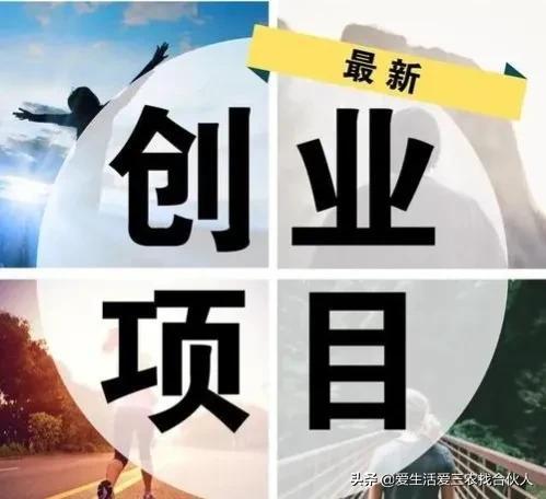 适合农村人做的赚钱项目（在农村做什么项目好）插图10