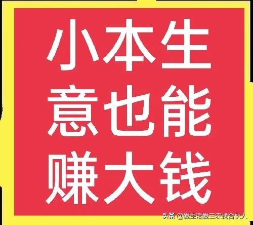 2022年投资小利润高的小生意，失业后做什么小本生意好-副业帮