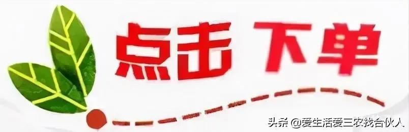 2022年投资小利润高的小生意，失业后做什么小本生意好插图8