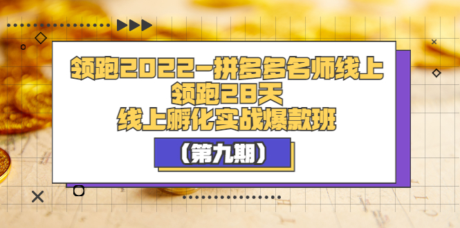 【副业项目3821期】拼多多名师线上领跑28天，拼多多线上孵化实操爆款班（第九期）-副业帮