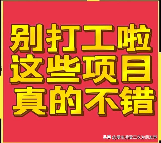 比打工强的小生意，农村小项目有哪些-副业帮