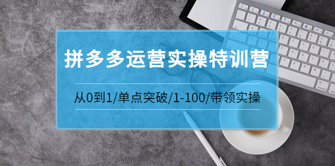 【副业项目3863期】拼多多运营实操特训营：拼多多直通车进阶优化技巧，拼多多如何操作利润最大化-副业帮