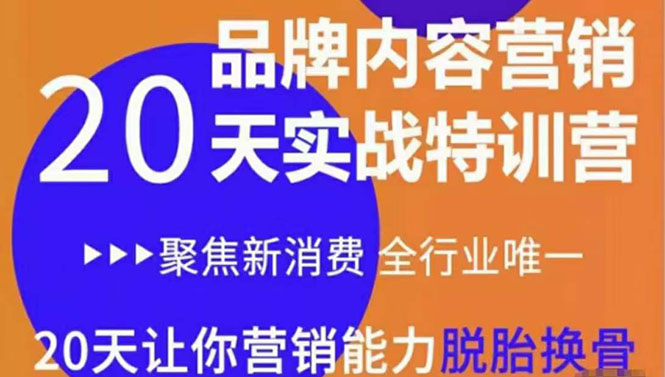 【副业项目3899期】《内容营销实操特训营》20天让你营销能力脱胎换骨（价值3999）-副业帮