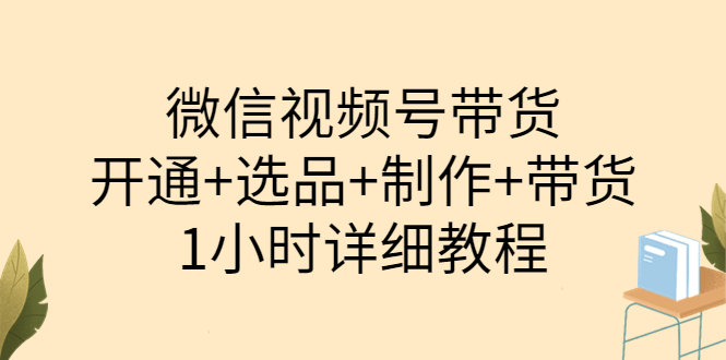 【副业项目3940期】陈奶爸·微信视频号带货：开通+选品+制作+带货（1小时详细教程）-副业帮