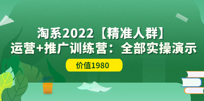 【副业项目3941期】淘系2022【精准人群】运营+推广训练营：全部实操演示-副业帮