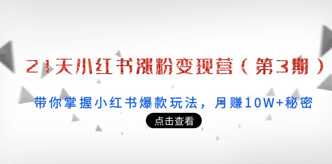 【副业项目4158期】21天小红书涨粉变现营（第3期）：带你掌握小红书爆款玩法，月赚10W+秘密-副业帮