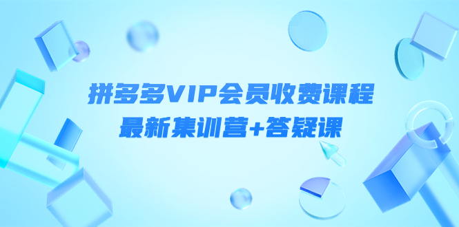 【副业项目4426期】某社群·拼多多VIP会员收费课程，最新集训营+答疑课-价值3299元-副业帮