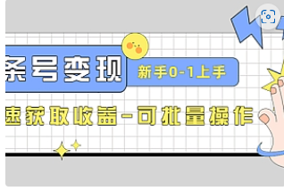 【副业项目4839期】2023头条号实操变现课：新手0-1轻松上手，快速获取收益-可批量操作-副业帮