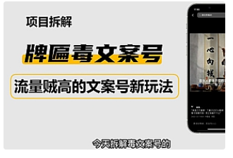 【副业项目4912期】2023抖音快手毒文案新玩法，牌匾文案号，起号快易变现-副业帮