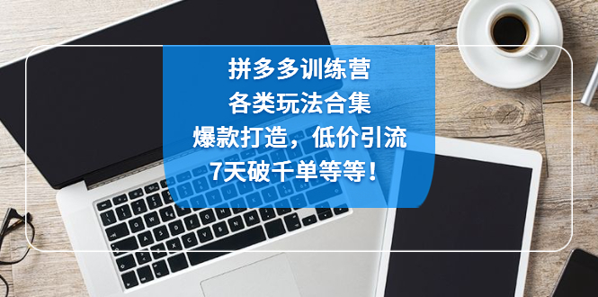 【副业项目4925期】拼多多训练营：各玩法合集，爆款打造，低价引流，7天破千单等等-副业帮