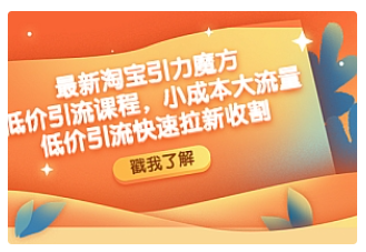 【副业项目4943期】最新淘宝引力魔方低价引流实操：小成本大流量，低价引流快速拉新收割-副业帮