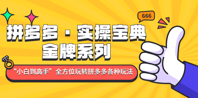 【副业项目5130期】拼多多·实操宝典：金牌系列“小白到高手”带你全方位玩转拼多多各种玩法-副业帮