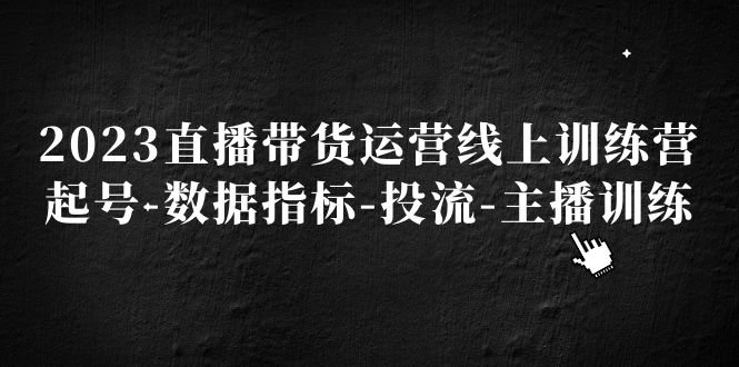 【副业项目5282期】2023直播带货运营线上训练营，起号-数据指标-投流-主播训练-副业帮