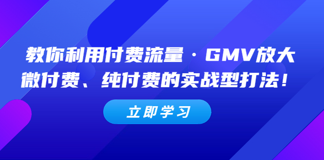 【副业项目5265期】教你利用付费流量·GMV放大，微付费、纯付费的实战型打法-副业帮