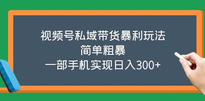 【副业项目5627期】视频号私域带货暴利玩法，简单粗暴，一部手机实现日入300+-副业帮