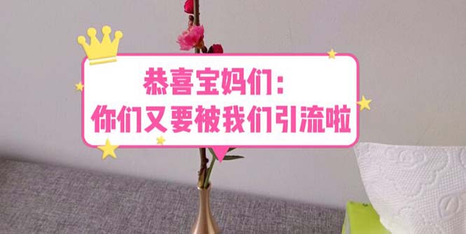 【副业项目5918期】恭喜宝妈们：你们又要被我们引流了（教程+222g资料）-副业帮