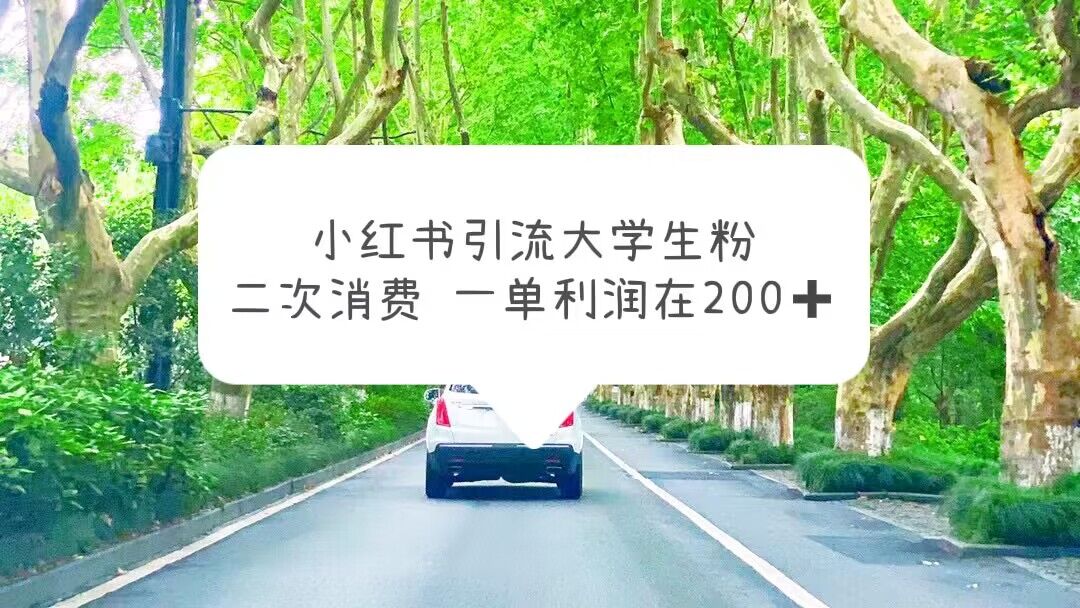 【副业项目5937期】小红书引流大学生粉，变现项目，一单利润在200+（教程+资源）-副业帮