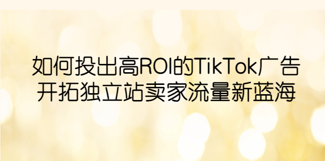 【副业项目6124期】如何投出高ROI·TikTok广告，开拓独立站卖家流量新蓝海-副业帮