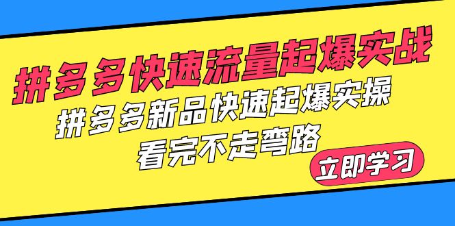 【副业项目6310期】拼多多-快速流量起爆实战，拼多多新品快速起爆实操，看完不走弯路-副业帮