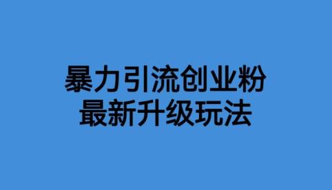 【副业项目6372期】价值1980一千个野路子暴力引流最新升级玩法【揭秘】-副业帮