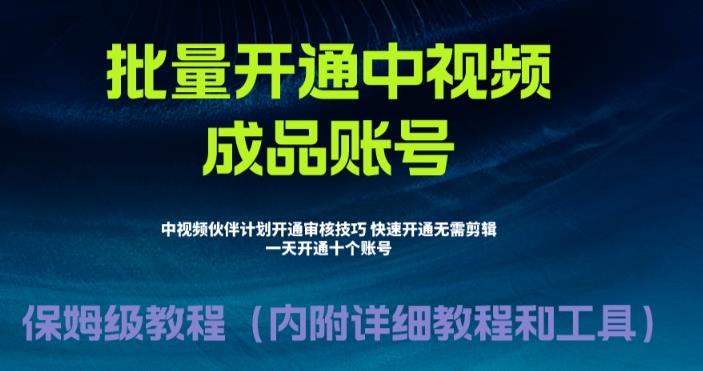 【副业项目6718期】外面收费1980暴力开通中视频计划教程，附 快速通过中视频伙伴计划的办法-副业帮