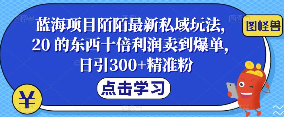 【副业项目6699期】蓝海项目陌陌最新私域玩法，20 的东西十倍利润卖到爆单，日引300+精准粉【揭秘】-副业帮