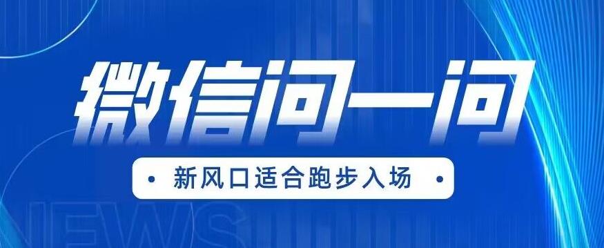 【副业项目6729期】全网首发微信问一问新风口变现项目（价值1999元）【揭秘】-副业帮