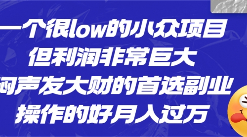 【副业项目6782期】一个很low的小众项目，但利润非常巨大，闷声发大财的首选副业，月入过万-副业帮