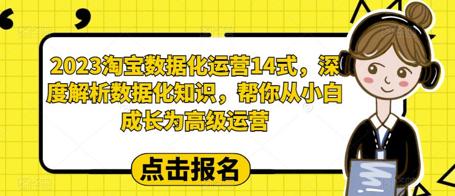 【副业项目6599期】2023淘宝数据化-运营 14式，深度解析数据化知识，帮你从小白成长为高级运营-副业帮