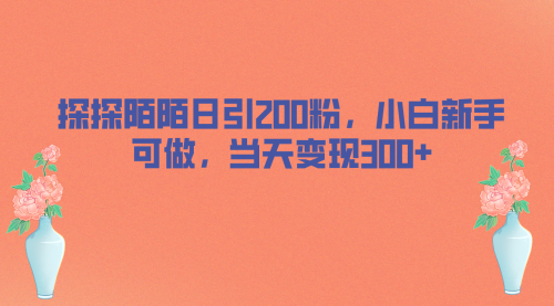 【副业项目7026期】探探陌陌日引200粉，小白新手可做，当天就能变现300+-副业帮