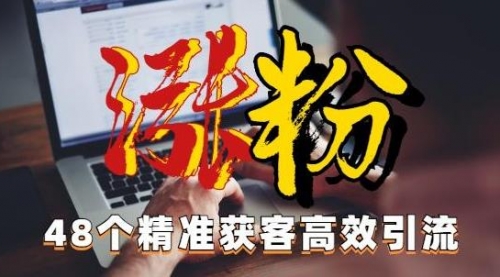 【副业项目7097期】独家分享48个引流绝技，再没粉丝只能怪自己了！-副业帮