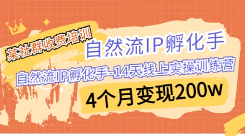 【副业项目7109期】自然流IP孵化手-14天线上实操训练营 4个月变现200w-副业帮