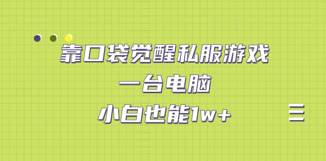 【副业项目7248期】靠口袋觉醒私服游戏，一台电脑，小白也能1w+（教程+工具+资料）-副业帮