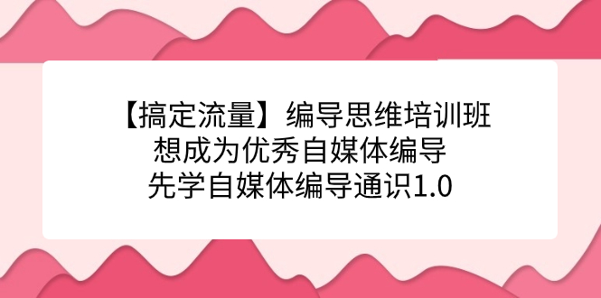 【副业项目7456期】编导思维培训班，想成为优秀自媒体编导先学自媒体编导通识1.0-副业帮