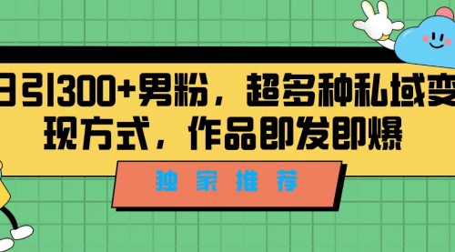 【副业项目7191期】独家推荐！日引300+男粉，超多种私域变现方式-副业帮