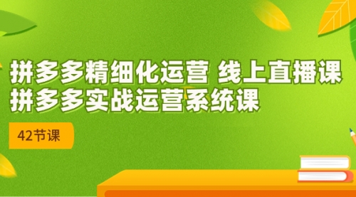 【副业项目7292期】2023年新课-拼多多精细化运营-副业帮