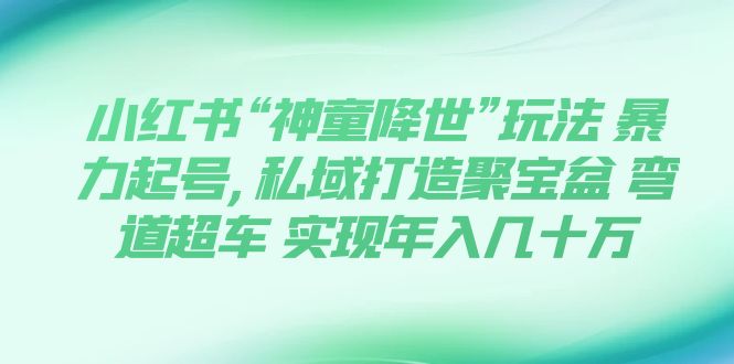 【副业项目7983期】小红书“神童降世”玩法 暴力起号,私域打造聚宝盆-副业帮