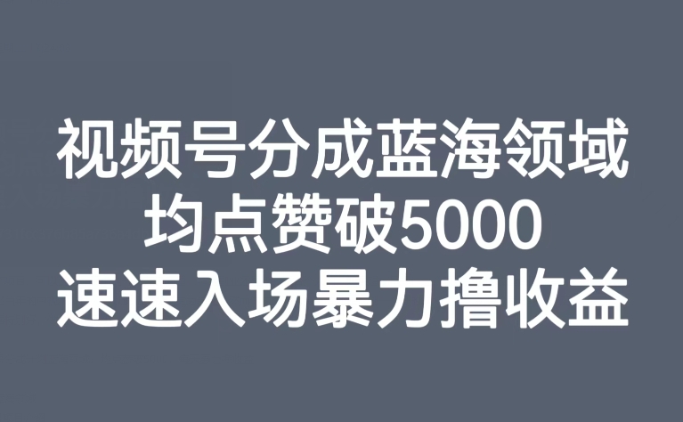 【副业项目8023期】视频号分成蓝海领域，均点赞破5000，速速入场暴力撸收益-副业帮