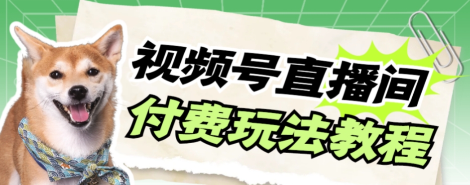 【副业项目7973期】视频号美女付费无人直播，轻松日入500+-副业帮