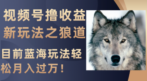 【副业项目8271期】视频号撸收益新玩法之狼道，目前蓝海玩法轻松月入过万！-副业帮