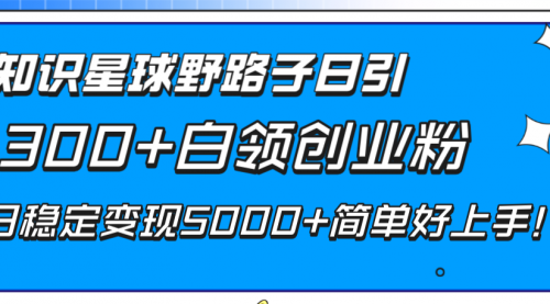 【副业项目8492期】知识星球野路子日引300+白领创业粉-副业帮