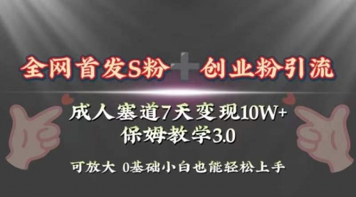 【副业项目8506期】成人用品赛道7天变现10w+保姆教学3.0-副业帮