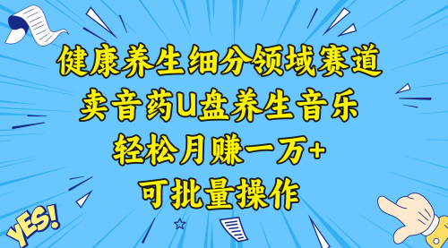 【副业项目8638期】健康养生细分领域赛道，卖音药U盘养生音乐，轻松月赚一万+，可批量操作-副业帮