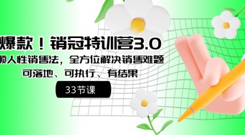 【副业8705期】销冠特训营3.0之顺人性销售法，全方位解决销售难题、可落地-副业帮