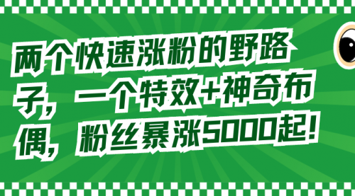 【副业8723期】两个快速涨粉的野路子，一个特效+神奇布偶，粉丝暴涨5000起！-副业帮