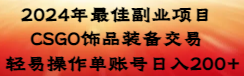 【副业8982期】2024年最佳副业项目 CSGO饰品装备交易 轻易操作单账号日入200+-副业帮