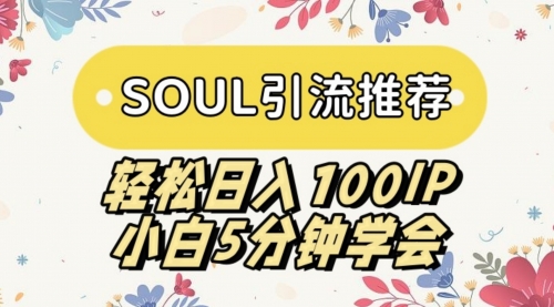 【副业9006期】SOUL引流推荐 轻松日入100IP 小白5分钟学会-副业帮