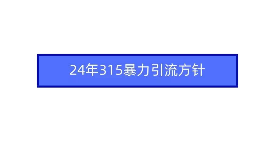 2024年315暴力引流方针-副业帮