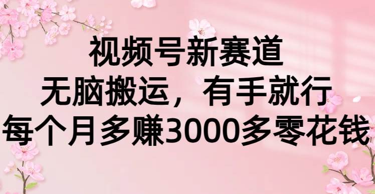 视频号新赛道，无脑搬运，有手就行，每个月多赚3000多零花钱-副业帮