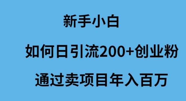 新手小白如何日引流200+创业粉通过卖项目年入百万-副业帮